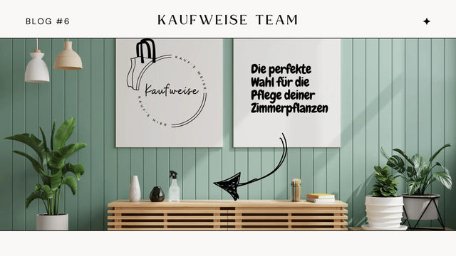 Guide: Die richtige Sprühflasche für deine Zimmerpflanzen