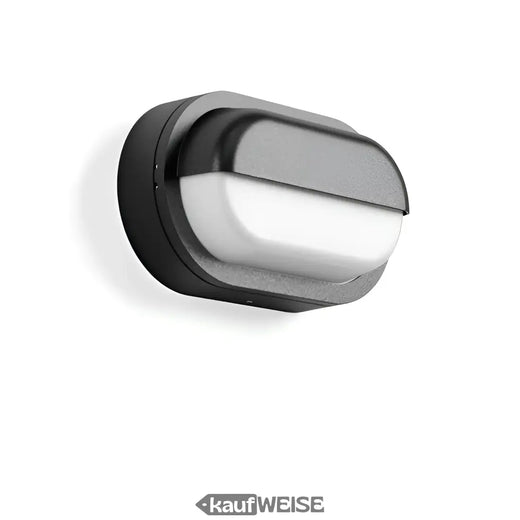 RZB Alu-Lux Oval LED Wand- & Deckenleuchte | 582065.0031.1