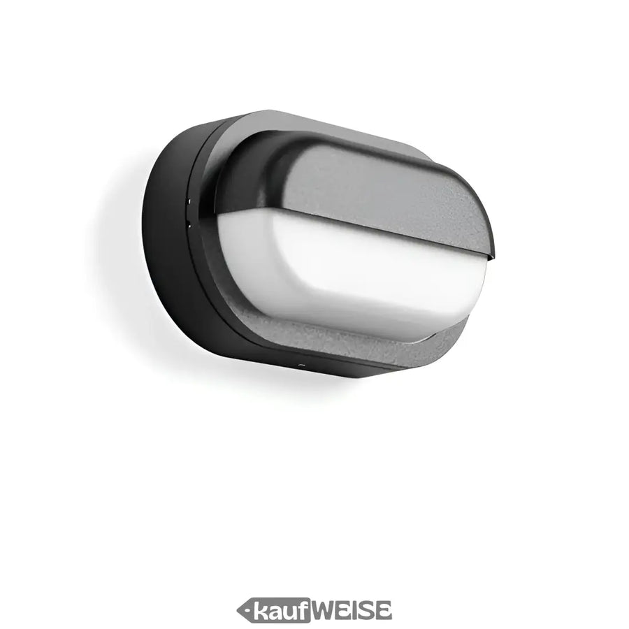 Schwarze und silberne moderne Wand- und Deckenleuchte RZB Alu-Lux Oval LED